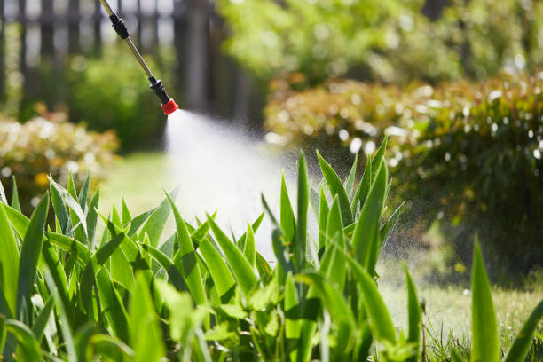 Tamper-Resistant Bait Stations for Rodents in Lake Success