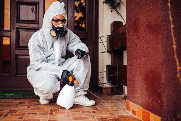 Attic and Crawl Space Rodent Treatment in Lake Success