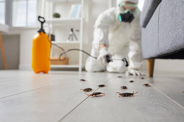 Commercial Rodent Management in Lake Success